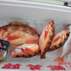 大進丸(新潟) 釣果