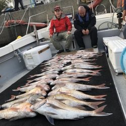 幸風(さちかぜ) 釣果