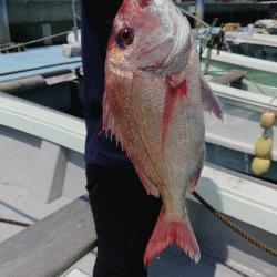 第二ゆず丸 釣果