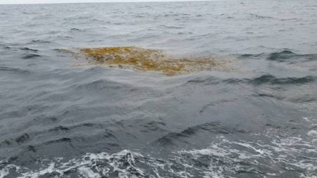 第五慶門丸 釣果