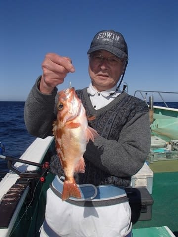 第二むつ漁丸 釣果