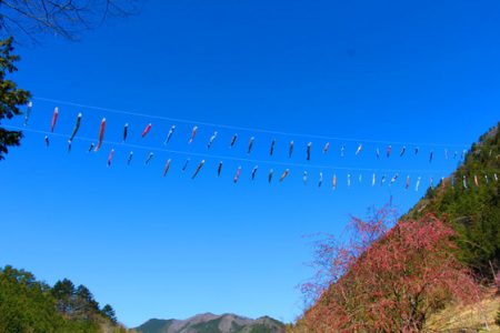 小菅トラウトガーデン 釣果