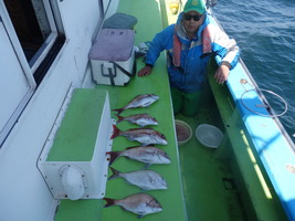 久里浜黒川本家 釣果