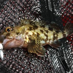 神戸ライトワインド3