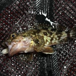 神戸ライトワインド3