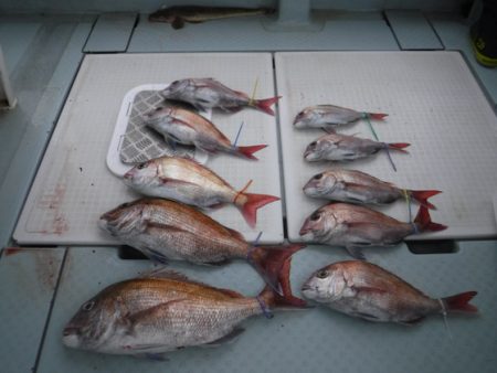 遊漁船 幸友丸 釣果