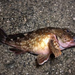 神戸ライトワインド3