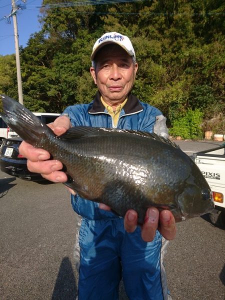 千津丸 釣果