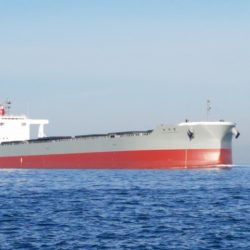 遊漁船 ニライカナイ 釣果