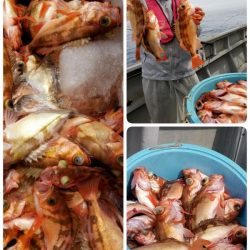 第三隆栄丸 釣果