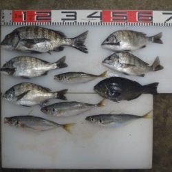 のとじま臨海公園海づりセンター 釣果