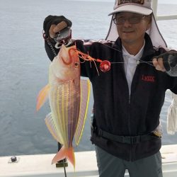 金太郎 釣果