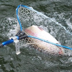 小菅トラウトガーデン 釣果