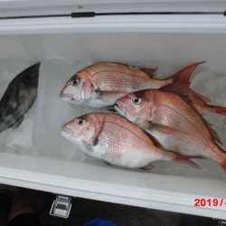 大進丸(新潟) 釣果