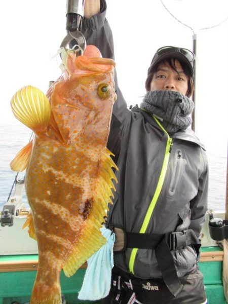 真祐丸 (しんゆうまる) 釣果