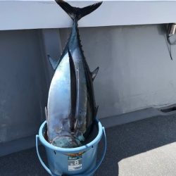 へいみつ丸 釣果