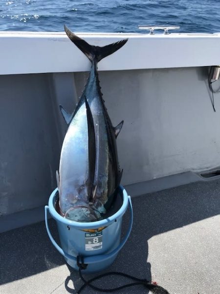 へいみつ丸 釣果