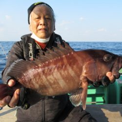 真祐丸 (しんゆうまる) 釣果