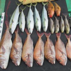 真祐丸 (しんゆうまる) 釣果