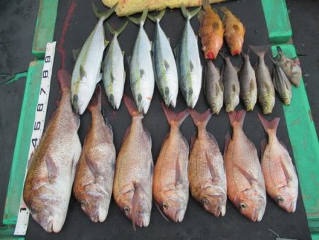 真祐丸 （しんゆうまる） 釣果