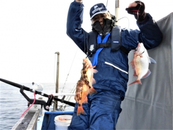鯛紅丸 釣果