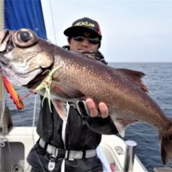 鯛紅丸 釣果