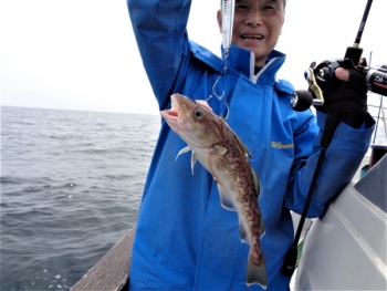 鯛紅丸 釣果