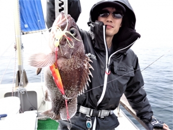 鯛紅丸 釣果