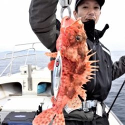 鯛紅丸 釣果