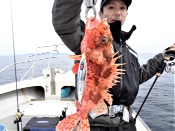 鯛紅丸 釣果