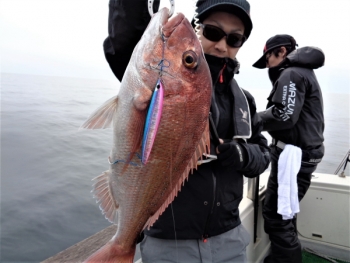 鯛紅丸 釣果