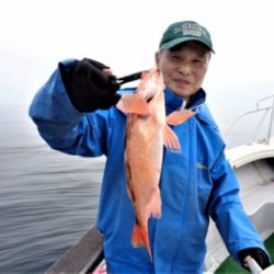 鯛紅丸 釣果
