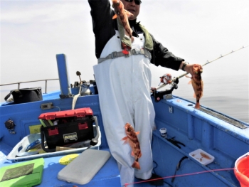 鯛紅丸 釣果