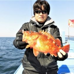 鯛紅丸 釣果