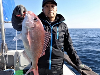 鯛紅丸 釣果