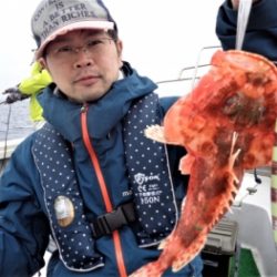 鯛紅丸 釣果