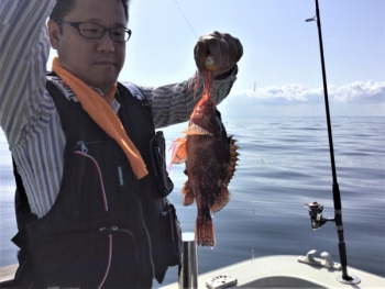 鯛紅丸 釣果