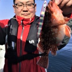 鯛紅丸 釣果