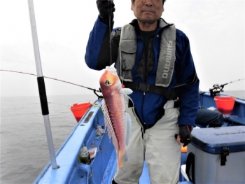 鯛紅丸 釣果