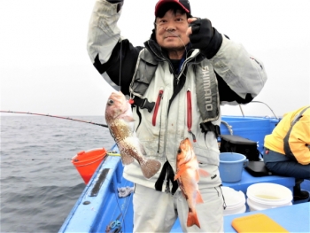 鯛紅丸 釣果