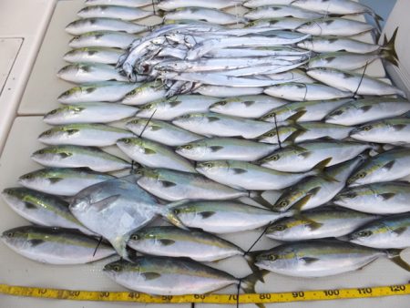 Hit Rush(ヒット ラッシュ） 釣果…