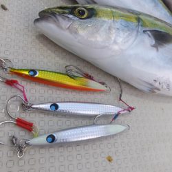 Hit Rush(ヒット ラッシュ) 釣果