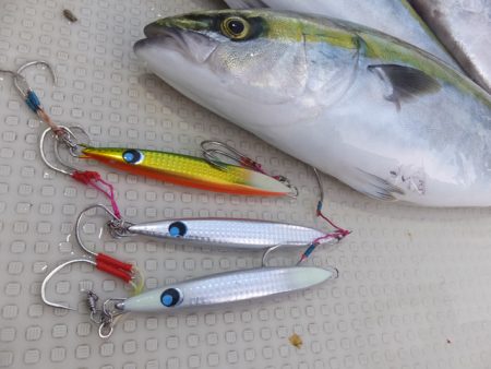 Hit Rush(ヒット ラッシュ) 釣果