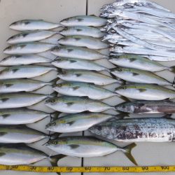 Hit Rush(ヒット ラッシュ） 釣果