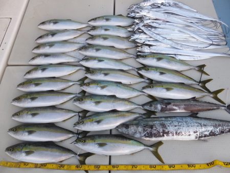 Hit Rush(ヒット ラッシュ） 釣果…