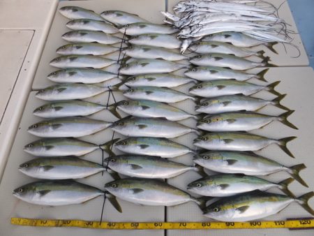 Hit Rush(ヒット ラッシュ） 釣果…