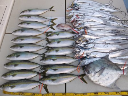 Hit Rush(ヒット ラッシュ） 釣果…