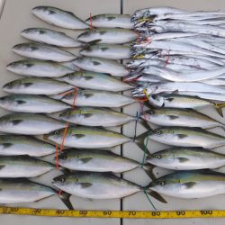 Hit Rush(ヒット ラッシュ) 釣果