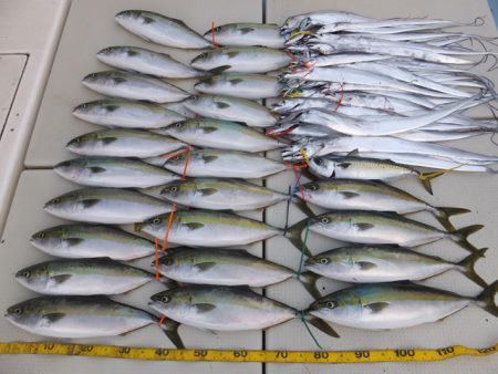 Hit Rush(ヒット ラッシュ） 釣果…