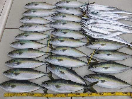 Hit Rush(ヒット ラッシュ） 釣果…